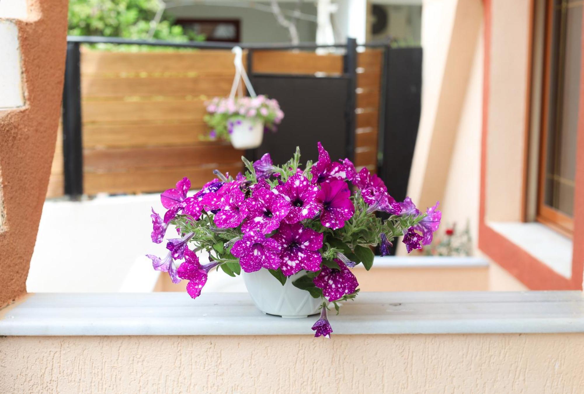 Vila Feliz - Premium Rooms With Free Private Parking Vlorë エクステリア 写真