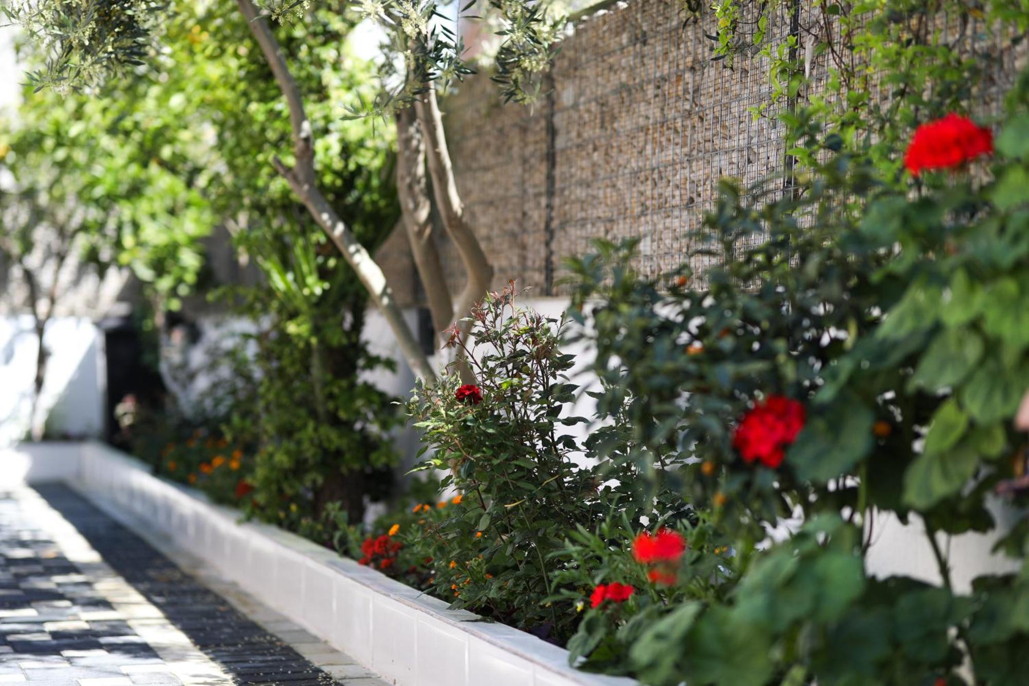 Vila Feliz - Premium Rooms With Free Private Parking Vlorë エクステリア 写真